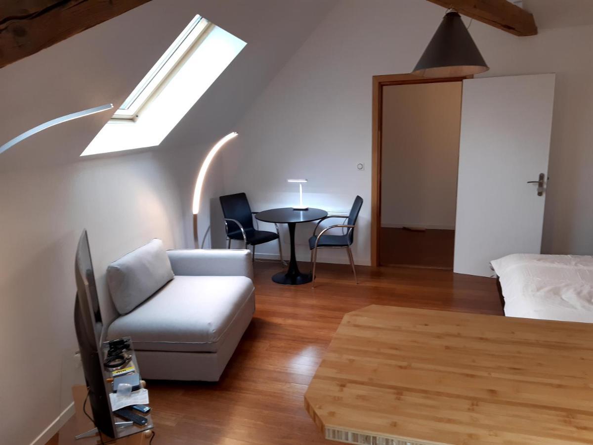 Loft Studio Avec Charme Et Authenticite Altkirch Εξωτερικό φωτογραφία