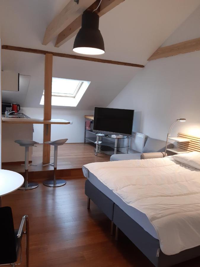 Loft Studio Avec Charme Et Authenticite Altkirch Εξωτερικό φωτογραφία