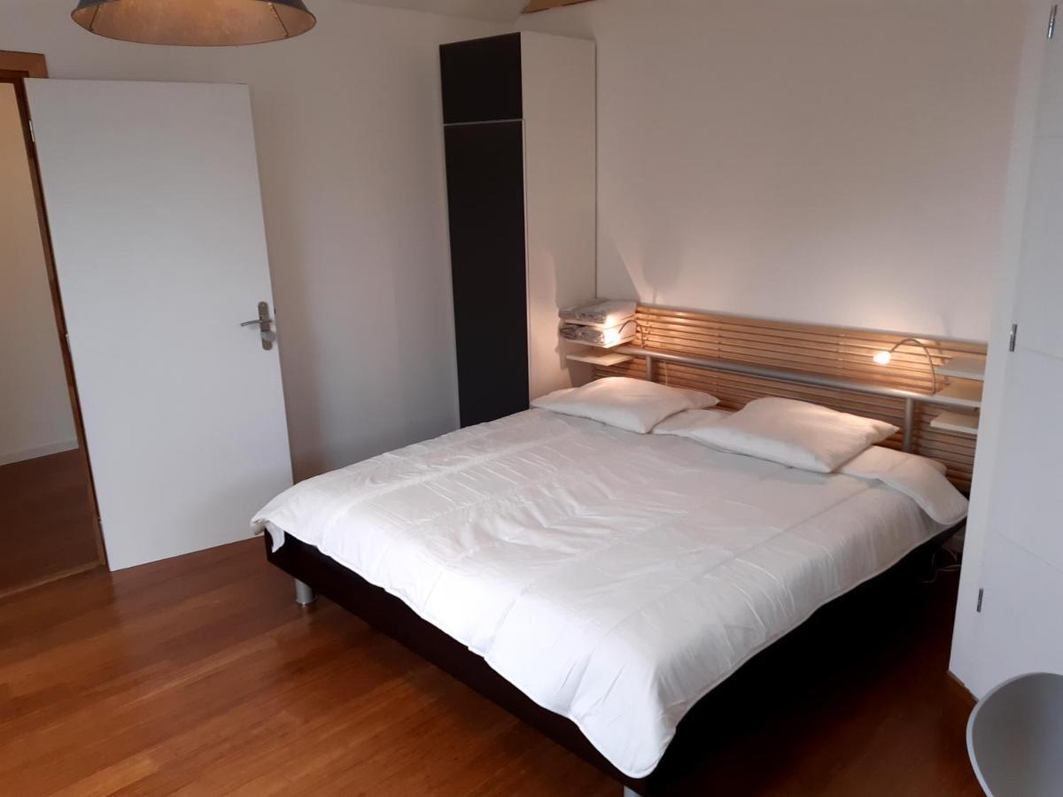 Loft Studio Avec Charme Et Authenticite Altkirch Εξωτερικό φωτογραφία