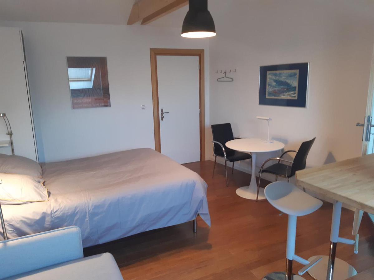Loft Studio Avec Charme Et Authenticite Altkirch Εξωτερικό φωτογραφία